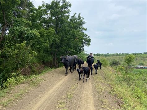 Oxygen ★ Sabyasachi - A Progressive Thought