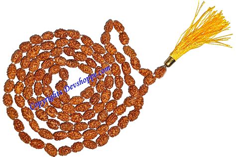 Two faced Rudraksha mala – Devshoppe