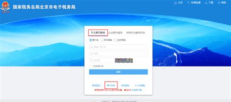 广东电子税务局《个人代开增值税电子普通发票》（申报操作） - 知乎