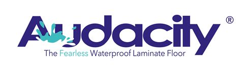 Trending Audacity Flooring Reviews To Upgrade