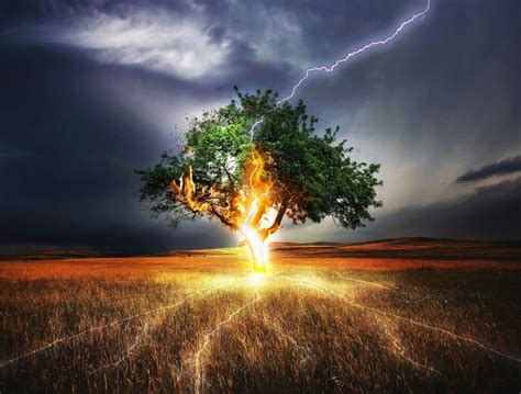 What is resilience and why is resilience important? | Twinkl