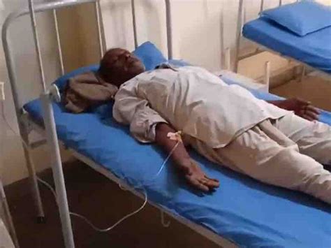 Two people were attacked by poisonous bees in Rohisa of Jafarabad and ...