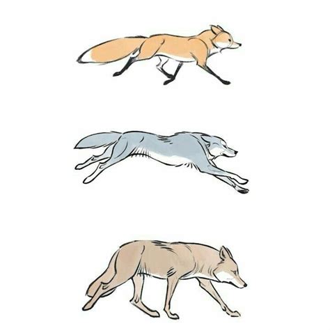 Image result for wolves drawing tutorial
