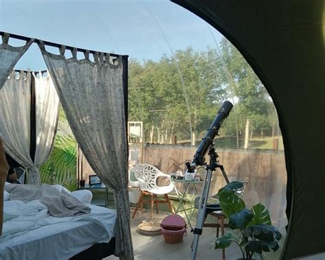 REMANSO DE TRASFONTAO CASA DAS ARBORES & BUBBLE - B&B Reviews, Photos ...