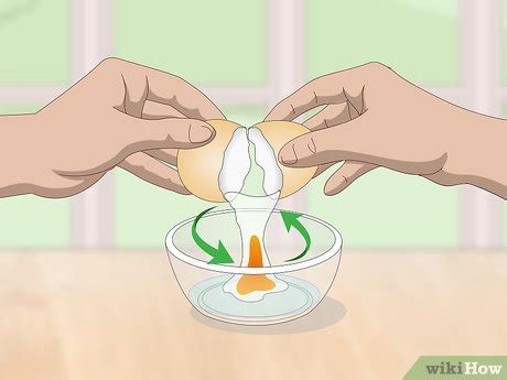 Image result for How to Cook a Turtle