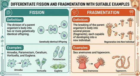 Class 12 Biology Zoology | Chapter 1 Reproduction in Organisms ...