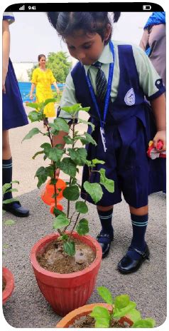 Mount Litera Zee School Naroli