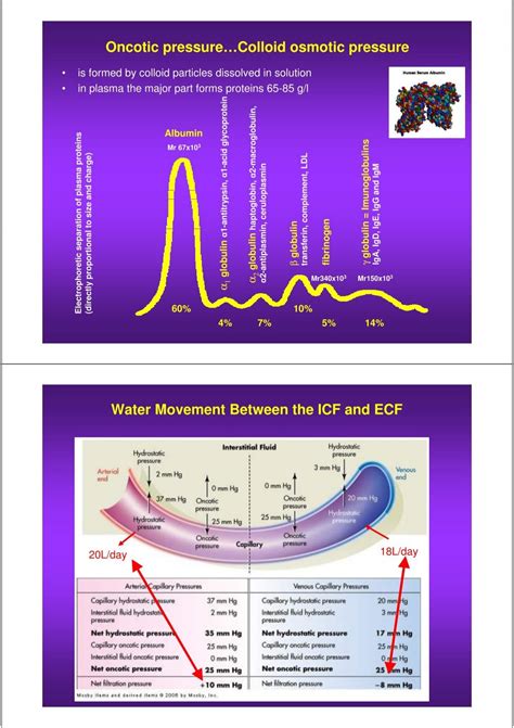 Oncotic pressure…Colloi