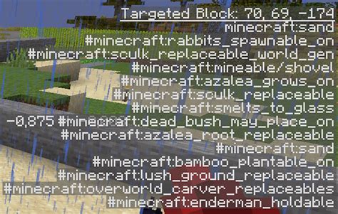 Image result for How to Get to Minecraft Debug Screen Windows PC