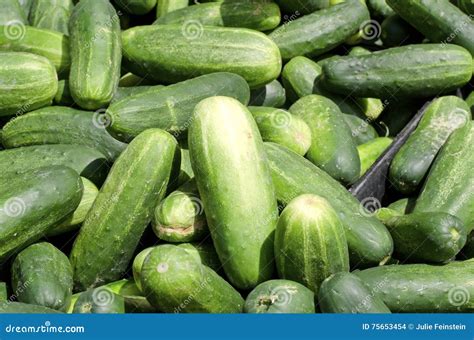 Kirby Pickles For Sale at Sara Gardner blog