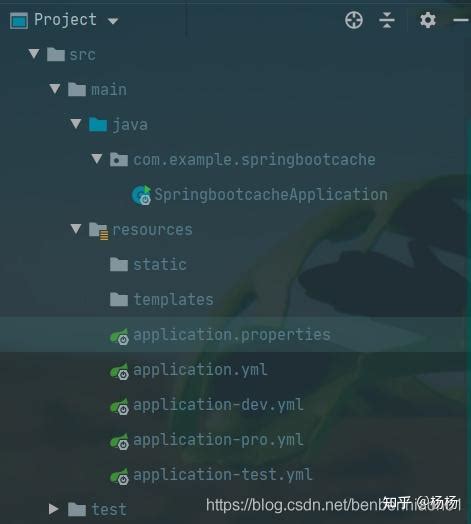 Image result for Spring Profiles Active
