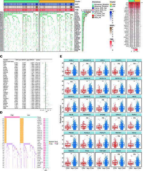 Image result for Copy Number Variation Genes