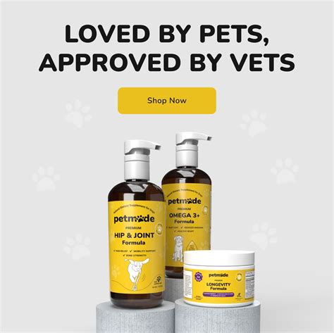 Do Golden Retrievers Shed? | PetMade