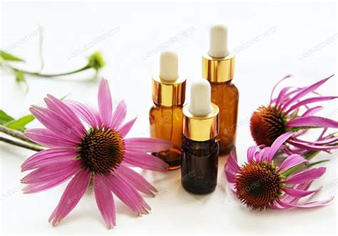 Facial Kit for Glowing Skin | Buy Pro+ Insta Glow Facial Kit | Dr ...