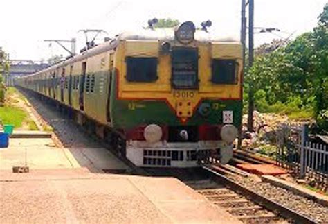 Ser Local Train 的图像结果