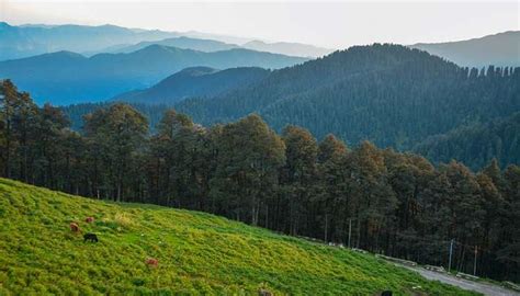 Moti Tibba: Uncover The Hidden Himalayan Gem And The Lush Greenery