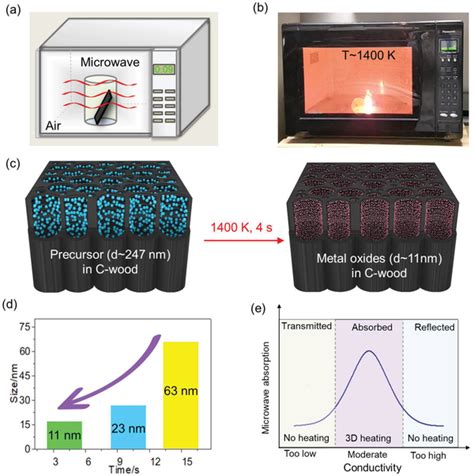 Microwave Heating Process 的图像结果