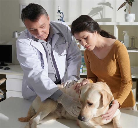 Industry Observes First World Parasite Awareness Day | Vet Advantage