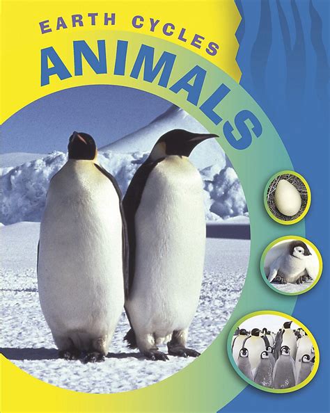 Animals: 2 (Earth Cycles) : Morgan, Sally: Amazon.in: Books