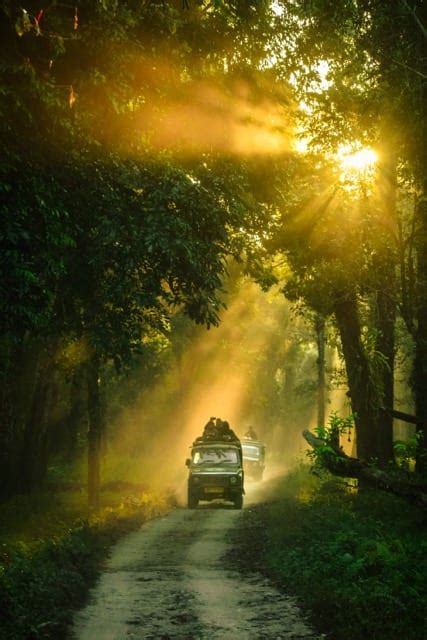 Bhubaneswar Travel Guide, Bhubaneswar Tourism, Places to Visit in ...