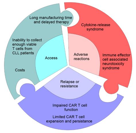 CAR T Cell Therapy for Chronic Lymphocytic Leukemia: Successes and ...