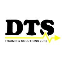 DTS Training Course 的图像结果