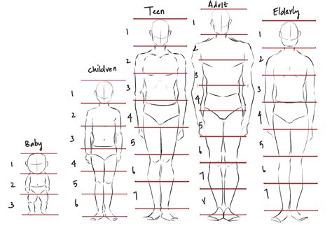 Image result for Face Proportion Drawing Lesson