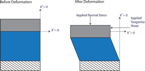 Image result for Normal Shell Edge Traction