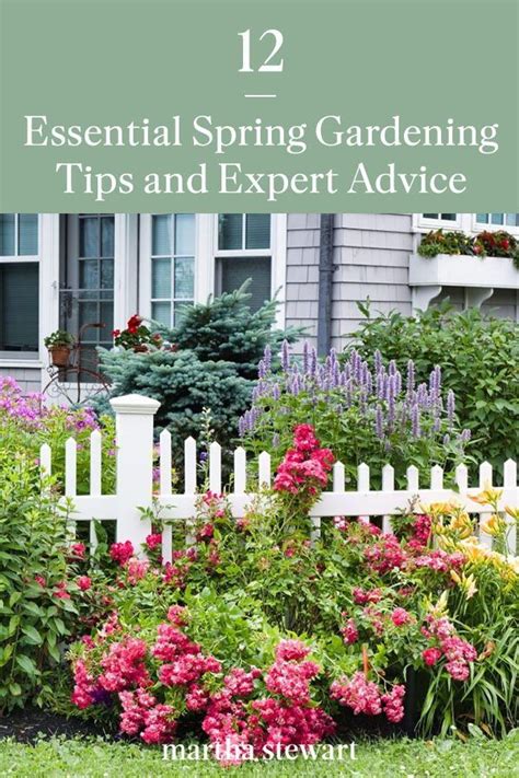 Image result for Spring Gardening Tips