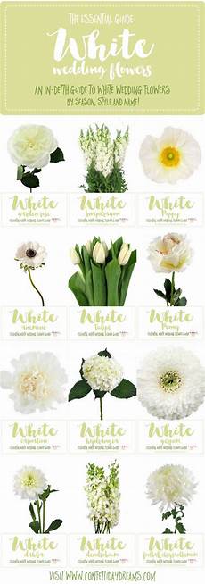 Names Of White Flowers For Wedding by White Wedding Flowers Guide Types Of White Flowers Names Names Of White Flowers For Wedding