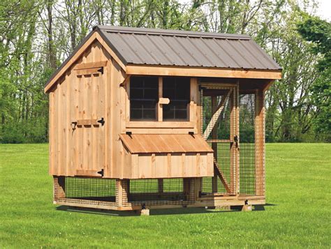 Chicken Coop and Run | Get a Secure Pen for Your Chickens