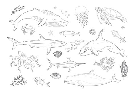Sea Mammals Coloring Pages at viizacharyblog Blog