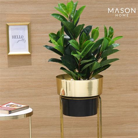 TALL PLANTS – Mason Home by Amarsons - Lifestyle & Decor