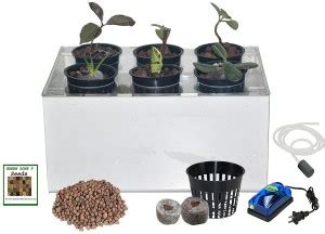 greenthrills DWC Hydroponic 6 Plant Growing Kit System, Acrylic ...