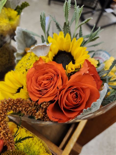 the Photography of *** Wills ***-wills.pixels.com Willssb.picfair ...