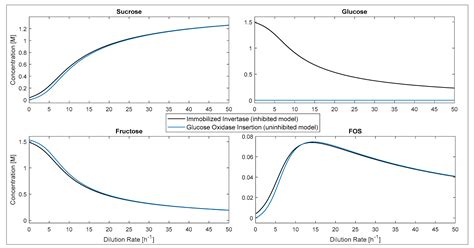 Invertase Immobilization on Magnetite Nanoparticles for Efficient ...