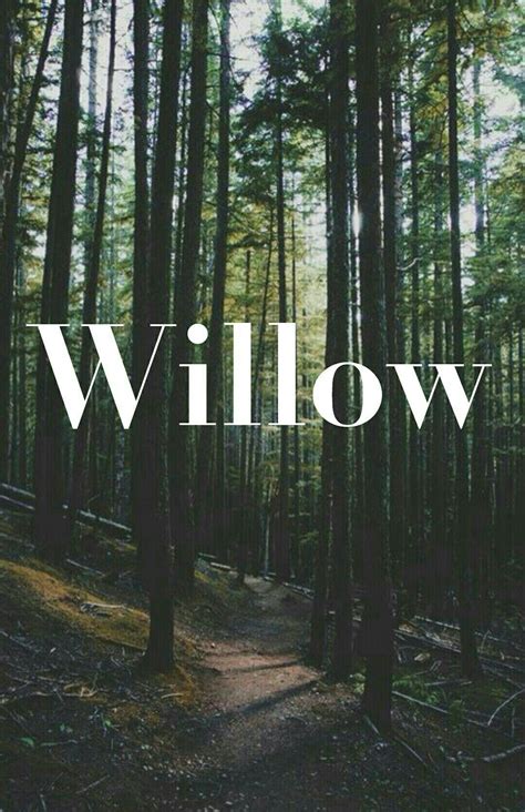 What Is The Meaning Of Name Willow at Pam Kirkland blog
