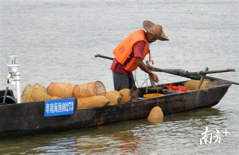 珠江流域禁渔期结束，跟着渔民去捕鱼_南方plus_南方+