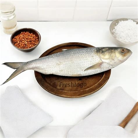 Buy Fresh Padma Hilsa Fish 1.2 kg Online - Freshtogo.in