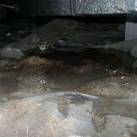 Crawl Space Repair | Colorado | HomeStrong