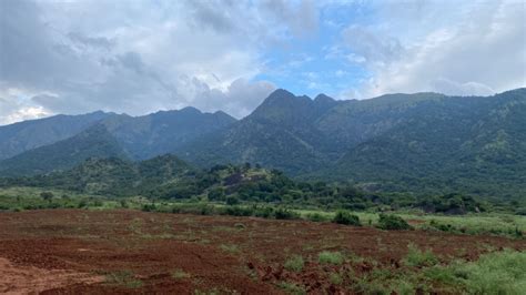 51 Acre Agricultural/Farm Land for Sale in Tenkasi, Tirunelveli - by ...