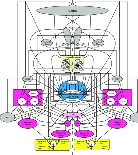 Parallel Distributed Processing Model 的图像结果