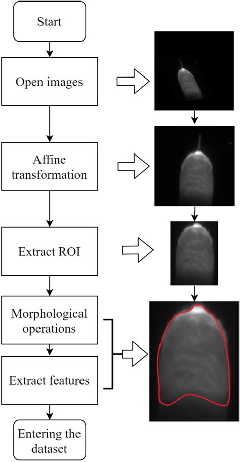 Image result for Image Processing Details with Example