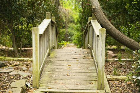 23 Our Grounds ideas | arboretum, woodway, carleen