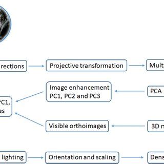 Image result for Photogrammetry Light Stage