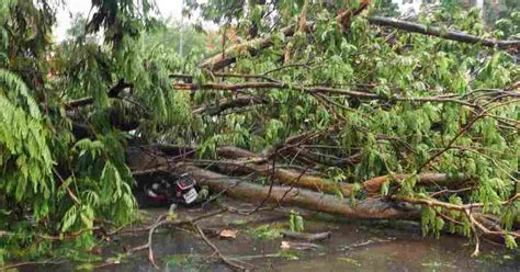 Cyclone Remal: রেমাল কাড়ল প্রাণ, কলকাতায় মৃত্যু এক প্রৌঢ়ের