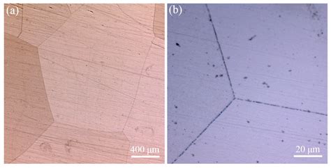 Control of Laves Precipitation in a FeCrAl-based Alloy Through Severe ...