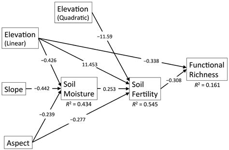 The Role of Environmental Filtering in Structuring Appalachian Tree ...