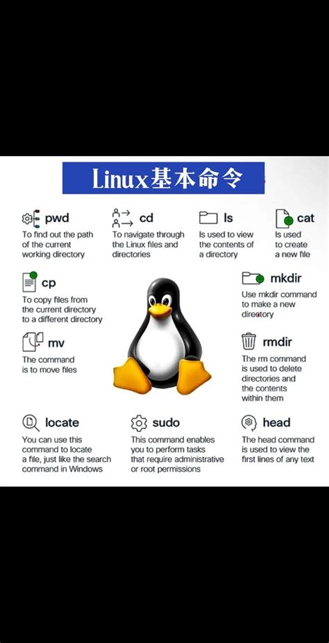 Linux Command Line 的图像结果