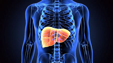 Liver Cancer- What it is and what are its Risk Factors? | Best Gastro ...